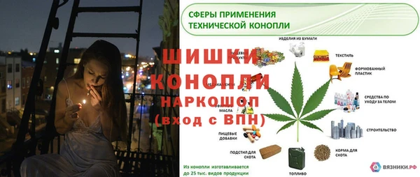 шишки Балабаново