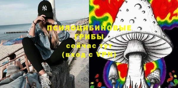крисы Арсеньев