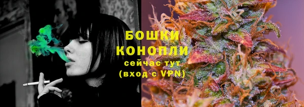шишки Балабаново