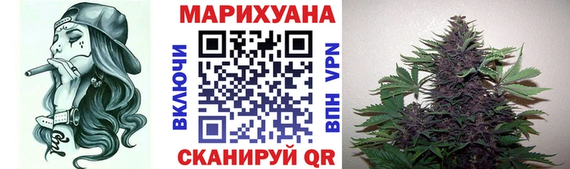 Конопля сатива  МЕГА зеркало  Малаховка 